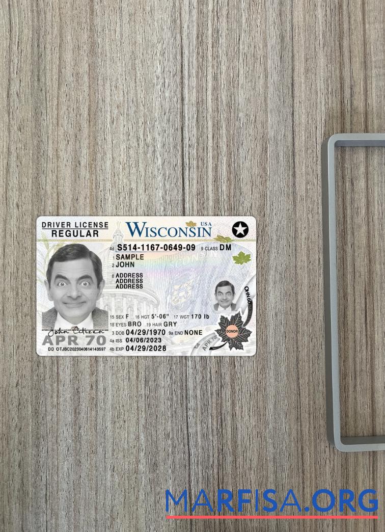 Blank USA Wisconsin driving license 2023 present photolook sample